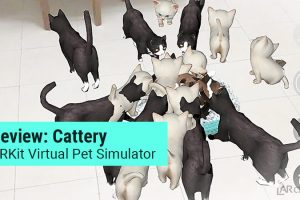 Cattery App Review