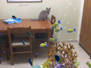 Cat watching fish in augmented reality