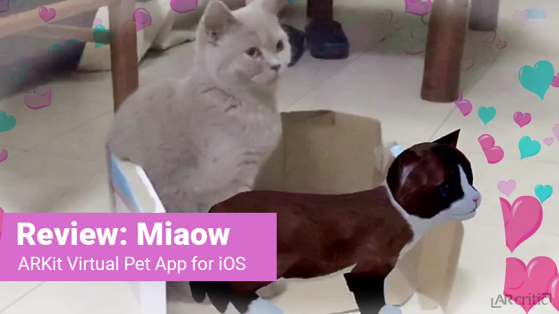 Two cat, virtual and real in augmented reality