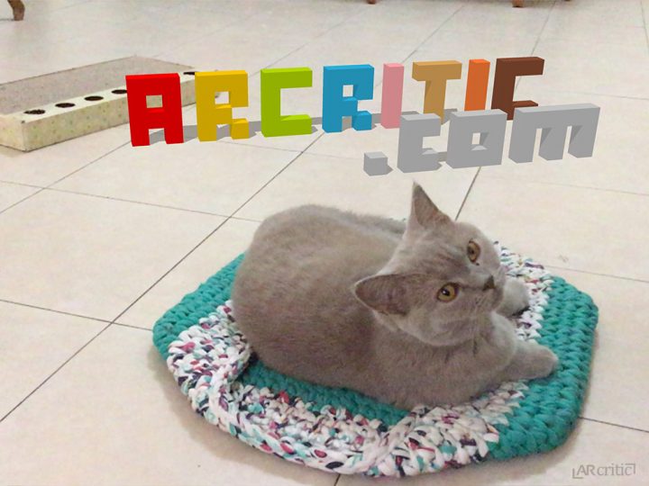 ARcritic.com domain name in AR with my cat