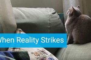 A moment when reality strikes