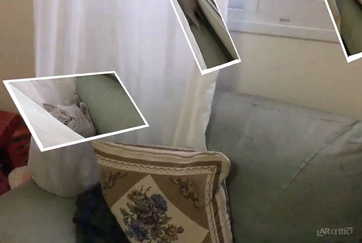 Cat hiding behind a curtain, Flotogram