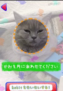 My cat picture in AR Kobit app