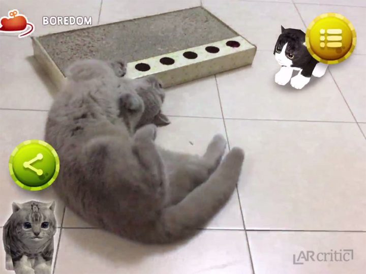 My real cat and a virtual one in augmented reality
