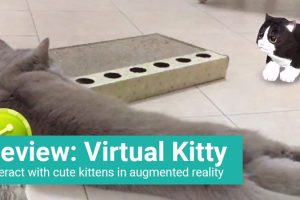 Virtual Kitty – Game Review (iOS)