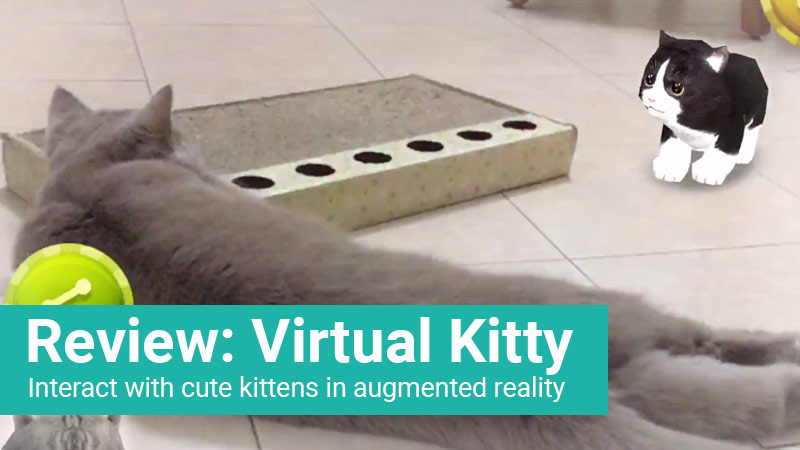 Virtual Kitty