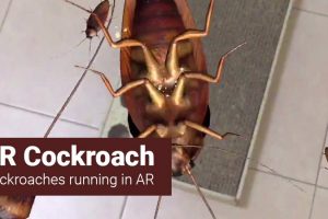 AR Cockroach – App Review (iOS)