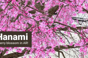 Cherry Blossom in Augmented Reality – AR Hanami App
