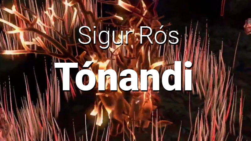Sigur Ros Tonandi