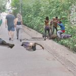 TWD: Our World game screenshot