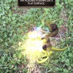 Stealth from Fingerlings toy to AR