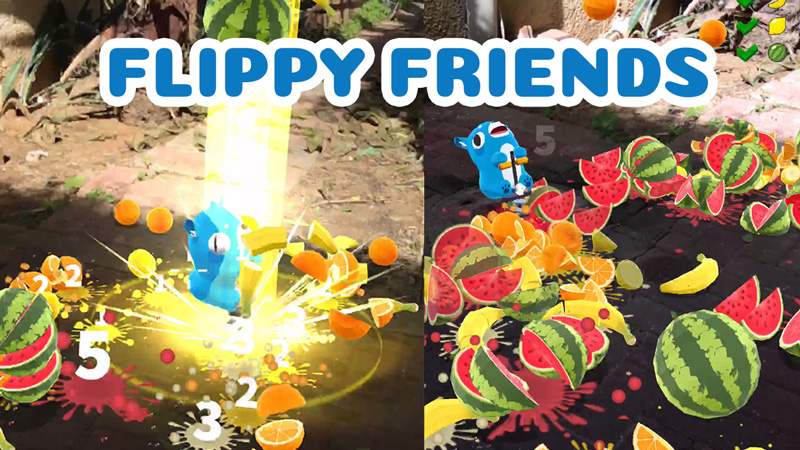 Flippy Friends