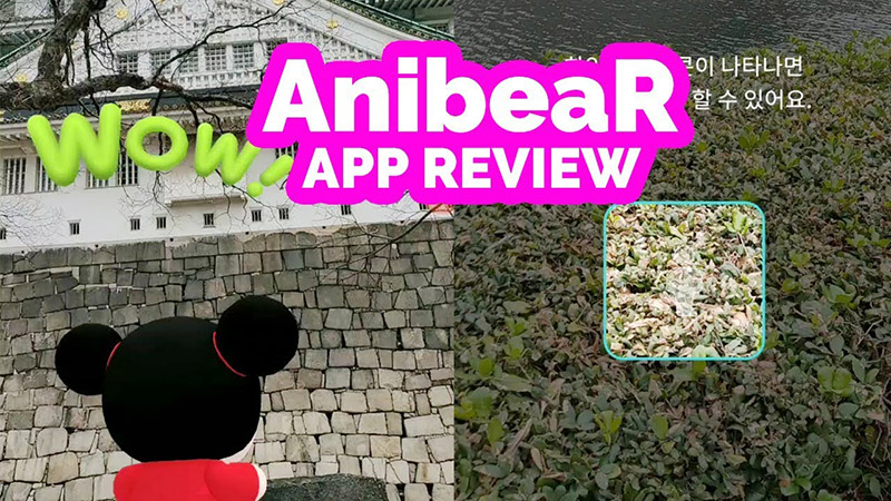 AnibeaR app