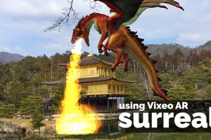 Breathtaking Video of a Dragon Flying at Golden Pavilion