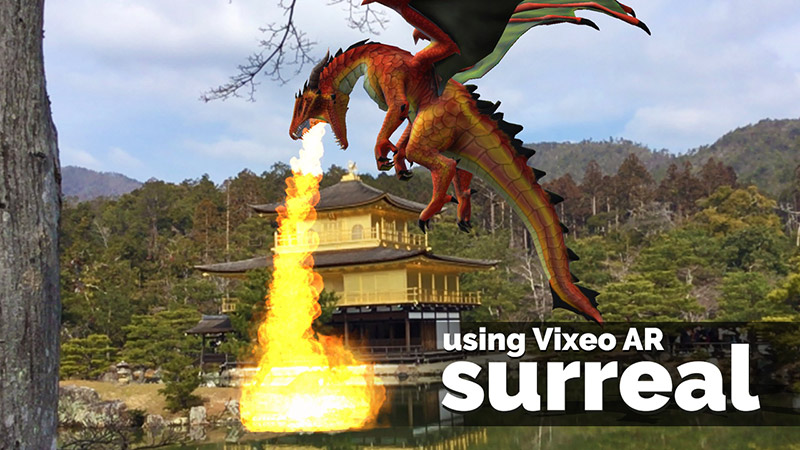 Dragon flying at Golden Pavilion, Kyoto, Japan