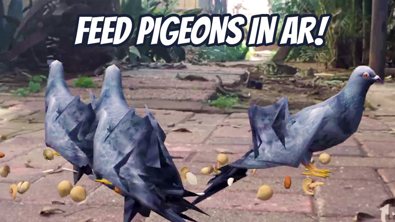 Feed pigeons in augmented reality