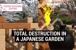 Oh My, I Ruined things in a Beautiful Japanese Garden