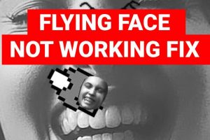 How to Fix Flying Face Filter Not Working on Instagram App?